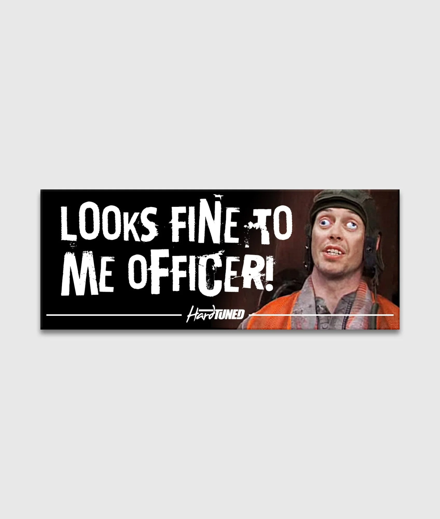 Looks Fine to Me Officer! - Image 2